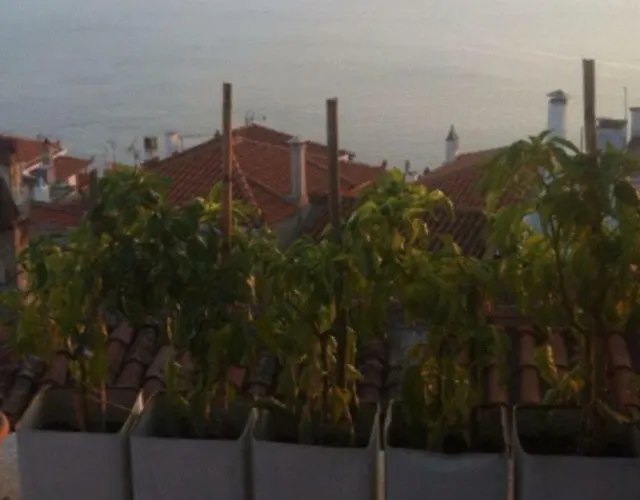 Case de vacanță Persefonis View House